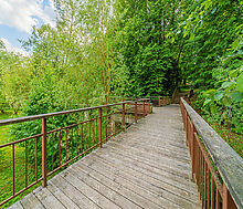 Новолеоново