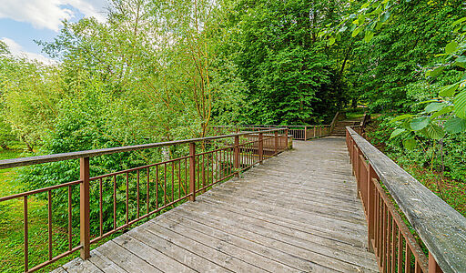 Новолеоново