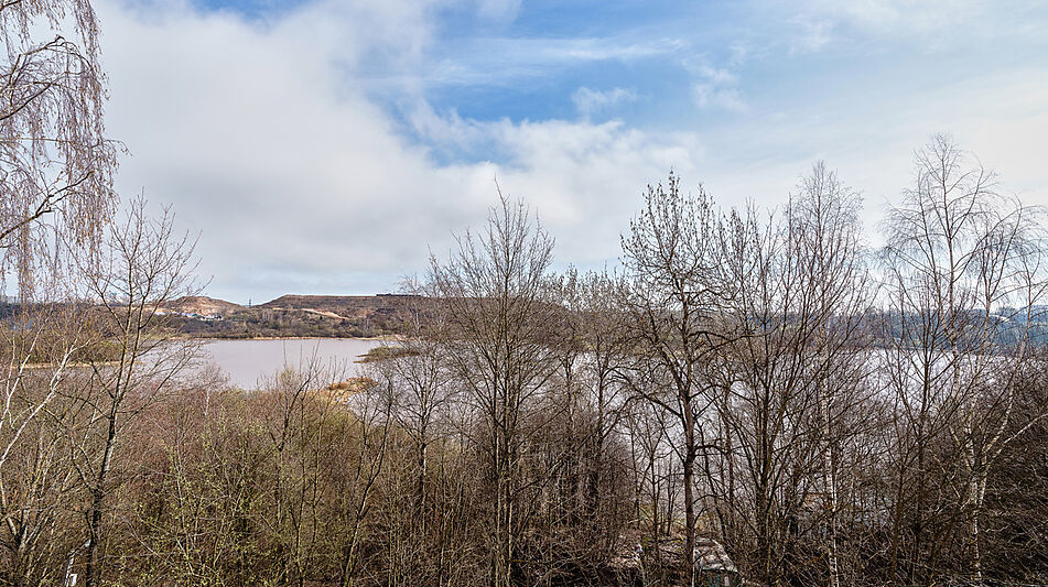 Дом с видом на озеро в Подрезково