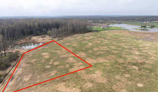 Земля на берегу озера в Можайске