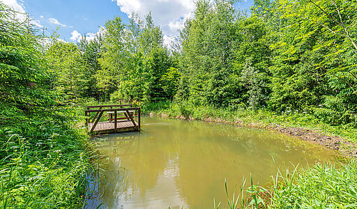 Уютный дом в КП Домик в Лесу