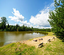 Смарт Вилладж