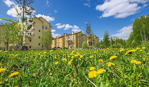 Офис под ключ в КП Дубрава