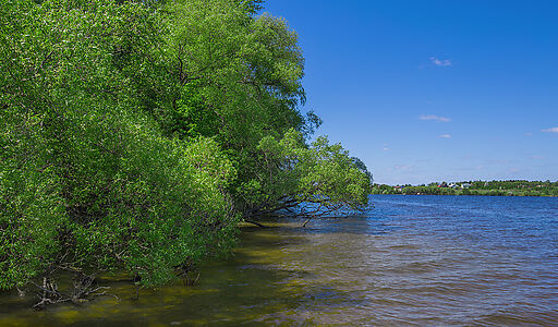 Офис под ключ в КП Дубрава