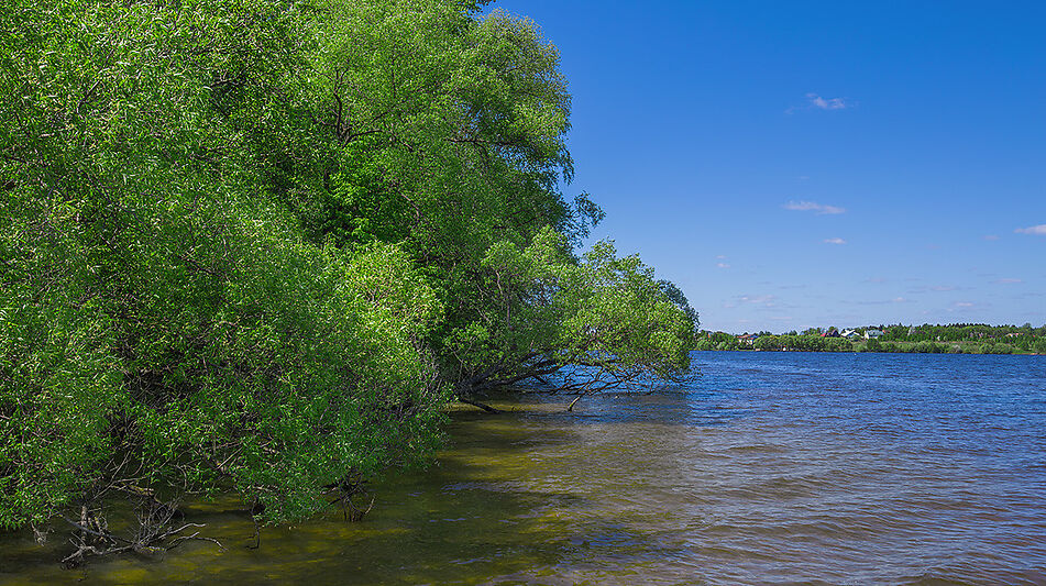 Офис под ключ в КП Дубрава