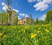 Офис под ключ в КП Дубрава