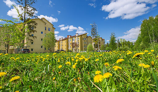 Офис под ключ в КП Дубрава