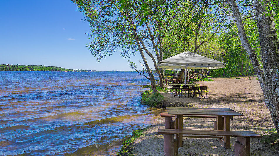 Офис под ключ в КП Дубрава