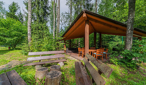 Дом в лесу КП Экран