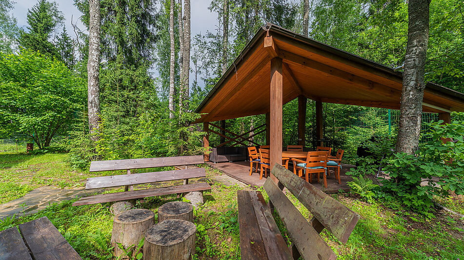 Дом в лесу КП Экран