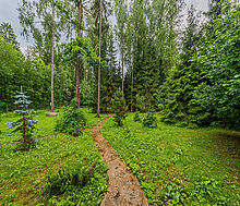 Дом в лесу КП Экран