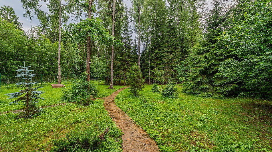 Дом в лесу КП Экран
