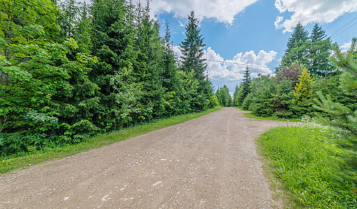 Дом в лесу КП Экран