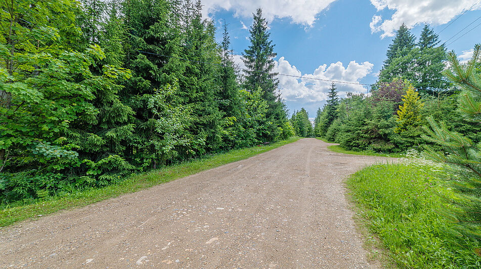 Дом в лесу КП Экран