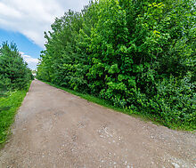 Дом в лесу КП Экран