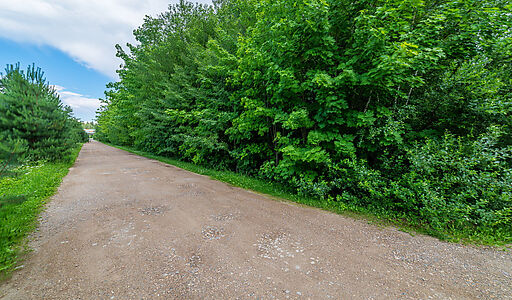 Дом в лесу КП Экран