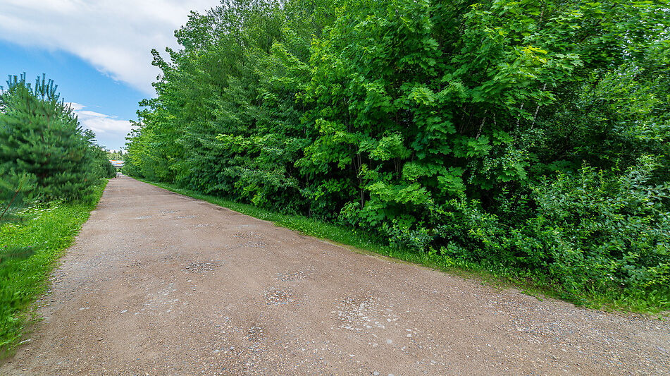 Дом в лесу КП Экран