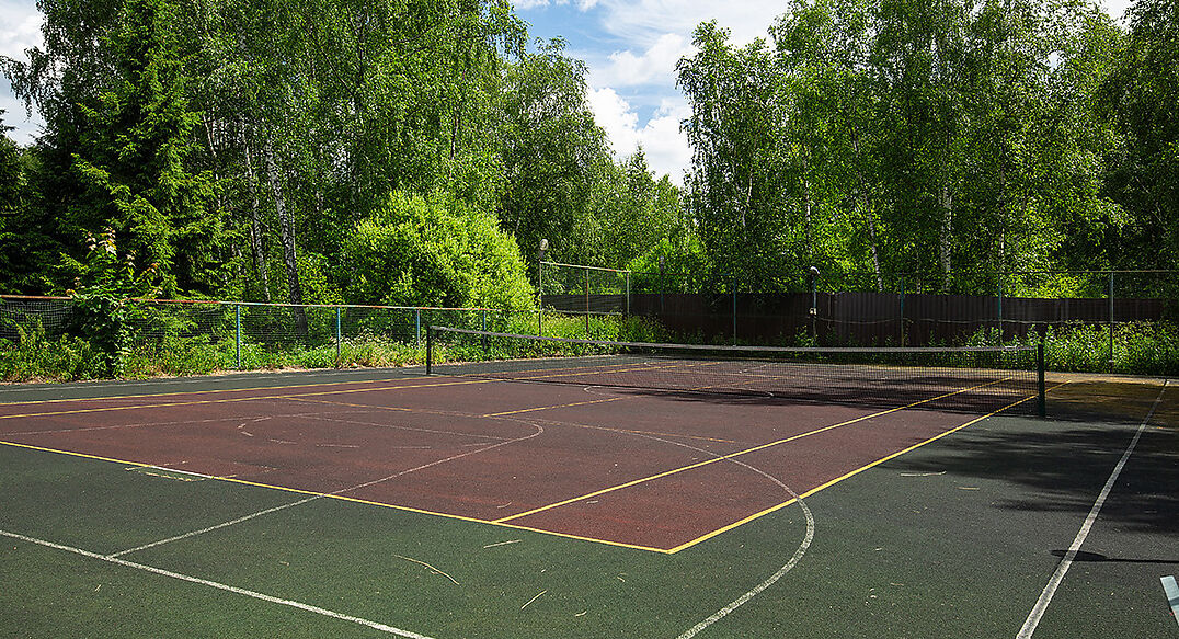 Северная Пальмира