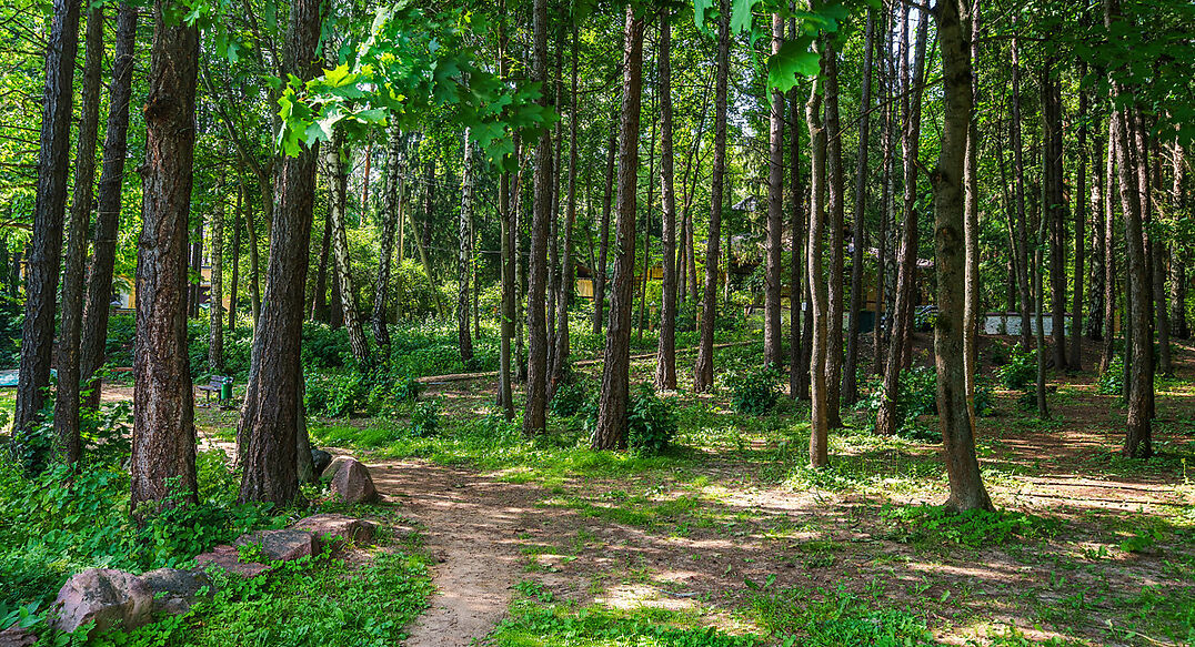 Летчик-Испытатель