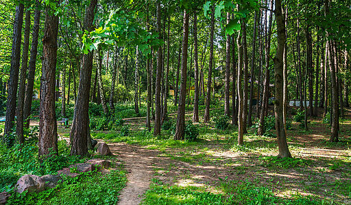 Летчик-Испытатель