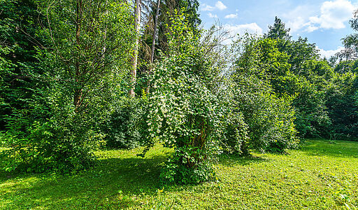 Летчик-Испытатель