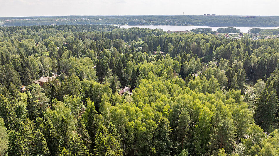 Участок с домом Летчик-Испытатель