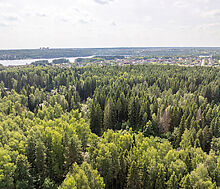 Участок с домом Летчик-Испытатель