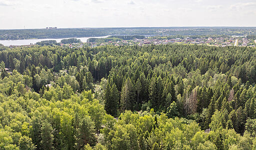 Участок с домом Летчик-Испытатель