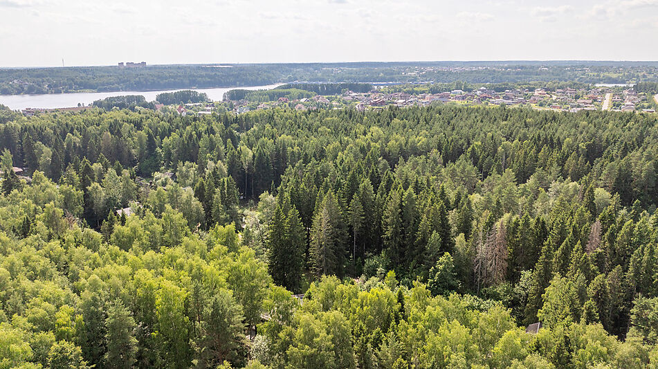 Участок с домом Летчик-Испытатель