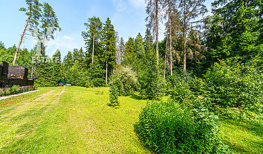 Участок с домом Летчик-Испытатель
