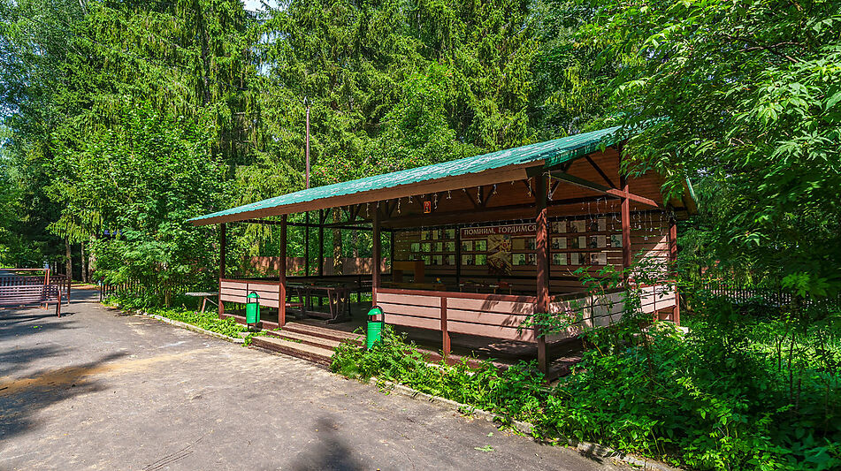 Участок с домом Летчик-Испытатель