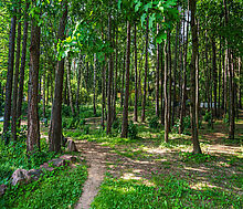 Участок с домом Летчик-Испытатель