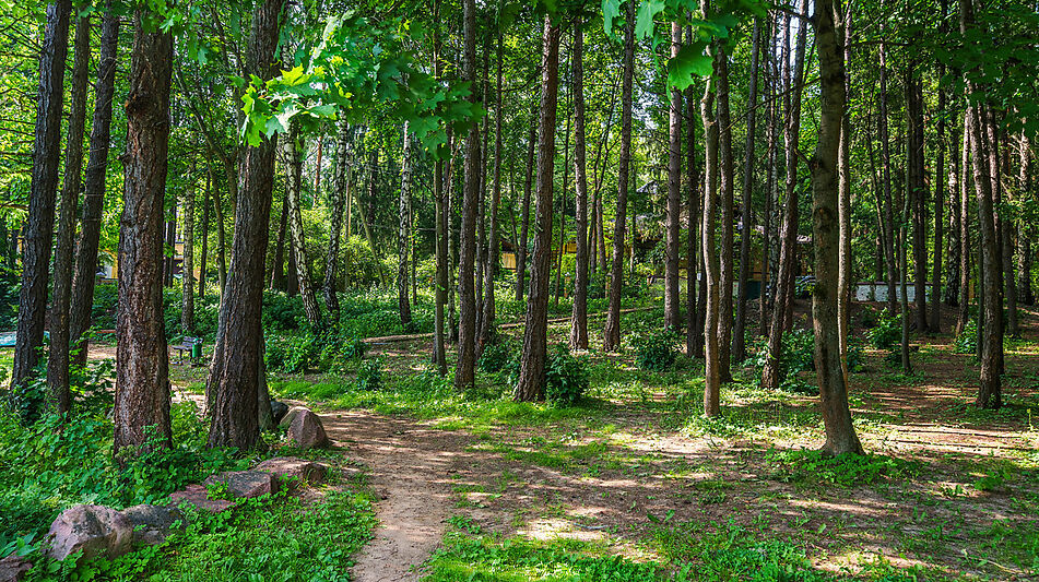 Участок с домом Летчик-Испытатель