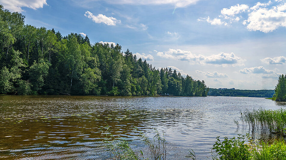Участок с домом Летчик-Испытатель