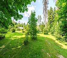 Участок с домом Летчик-Испытатель