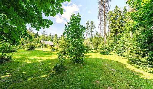 Участок с домом Летчик-Испытатель