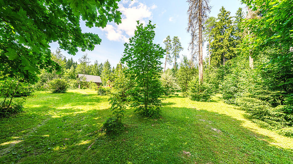 Участок с домом Летчик-Испытатель