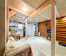 Участок с домом Летчик-Испытатель