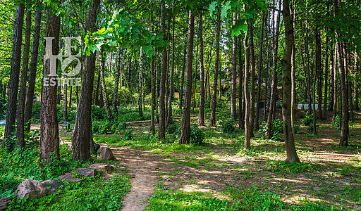 Участок с домом Летчик-Испытатель