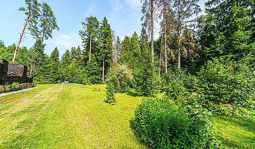 Участок с домом Летчик-Испытатель