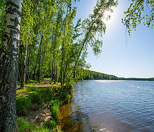 Великолепный прилесной участок