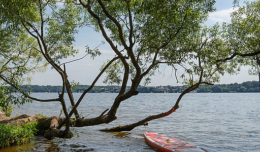 Дом с выходом к воде в Сорокино