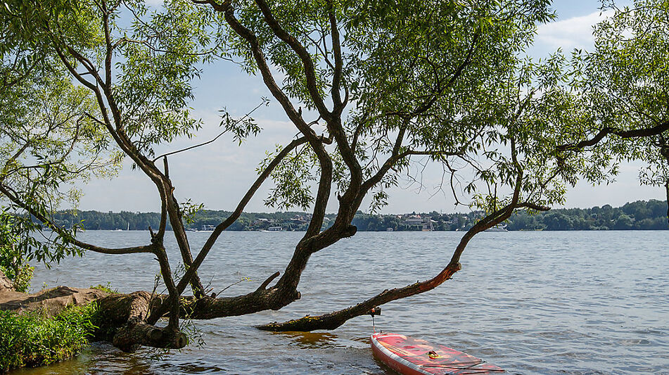 Дом с выходом к воде в Сорокино