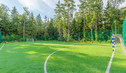 Лесной простор-3