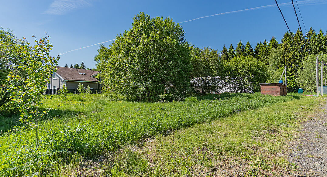 Малое лесное