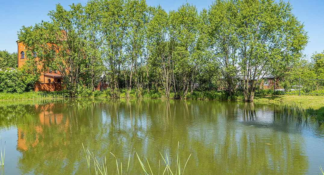 Малое лесное