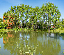 Малое лесное