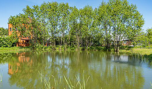 Малое лесное