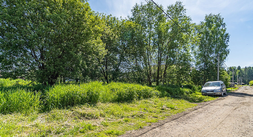 Малое лесное