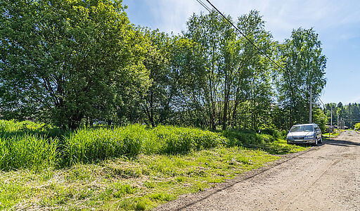 Малое лесное